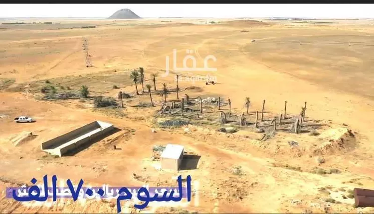 مزرعة للبيع في حي ساق, مدينة ساق, منطقة القصيم