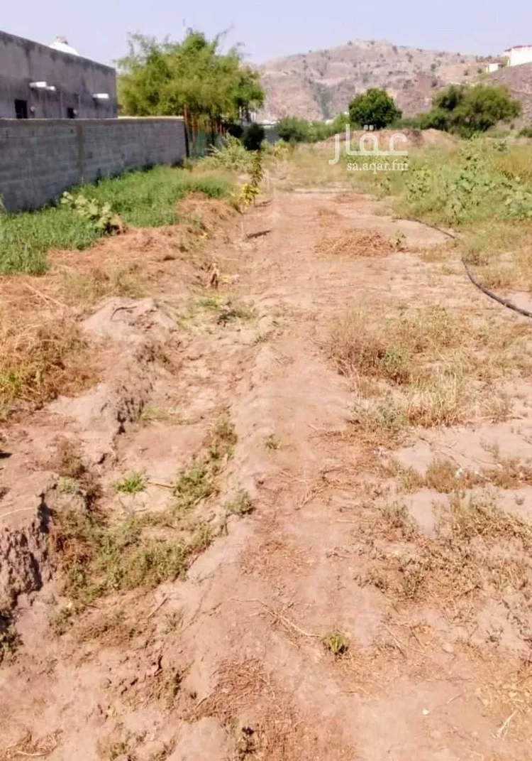أرض للإيجار في شارع غير مسمى, حي اليرموك, مدينة محائل, منطقة عسير صورة 5