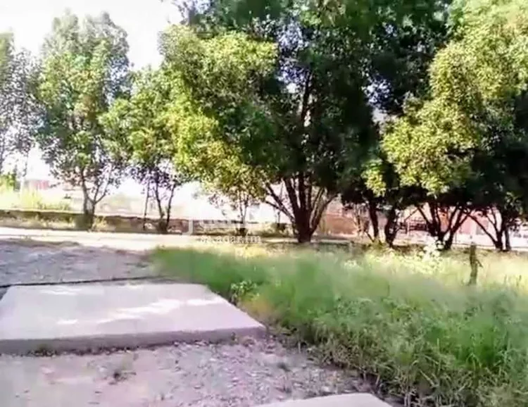 أرض للإيجار في شارع غير مسمى, حي اليرموك, مدينة محائل, منطقة عسير صورة 2