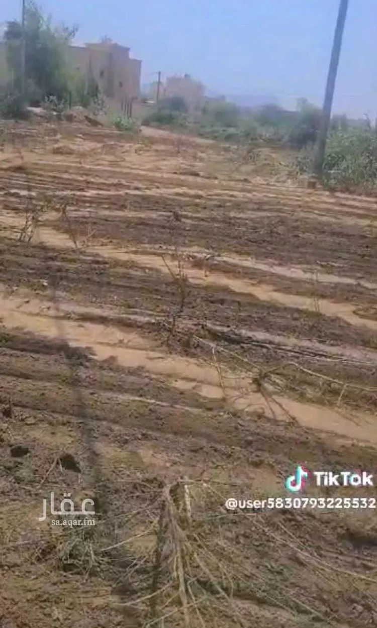 مزرعة للإيجار في شارع غير مسمى, حي اليرموك, مدينة محائل, منطقة عسير صورة 2