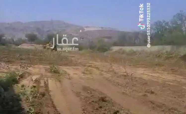 مزرعة للإيجار في شارع غير مسمى, حي اليرموك, مدينة محائل, منطقة عسير صورة 4
