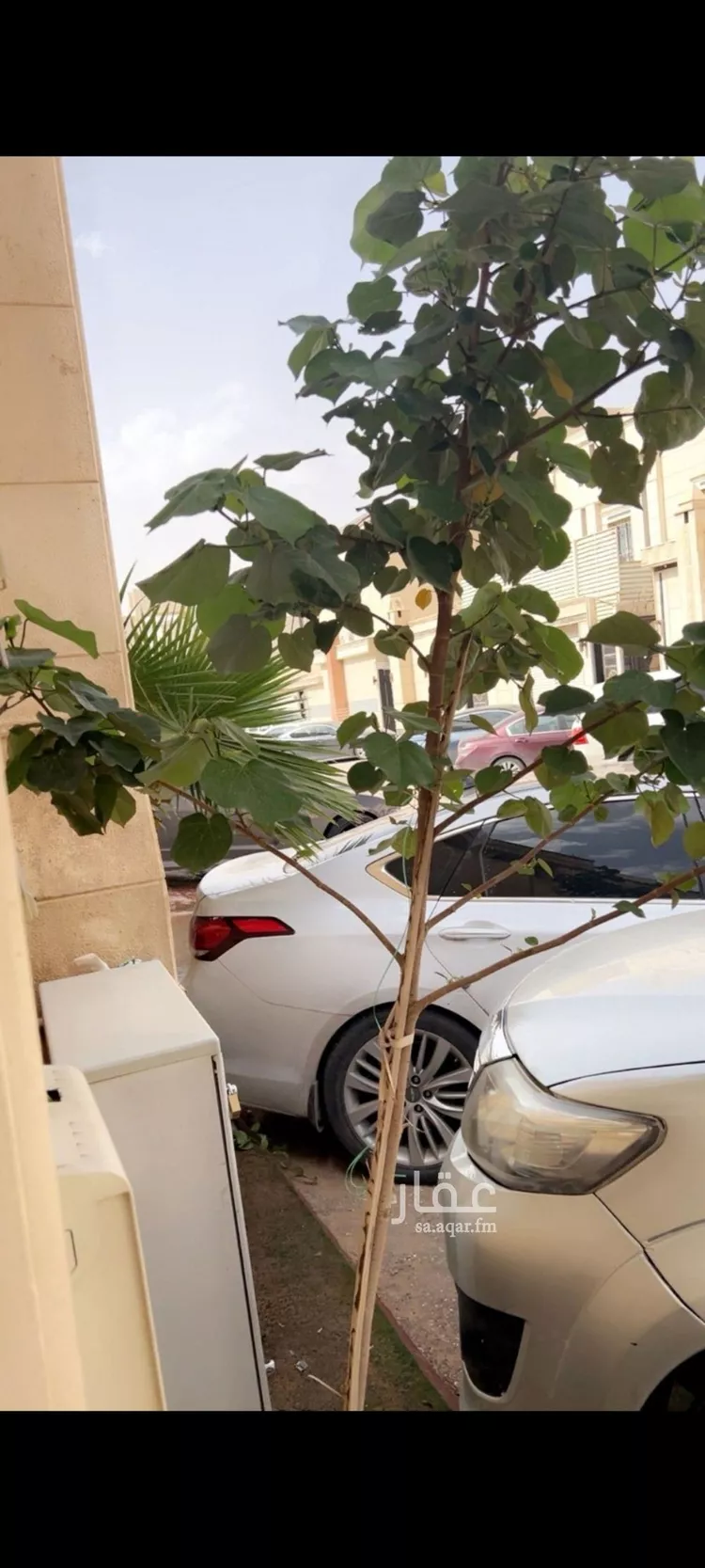 فيلا للإيجار في شارع مطرف بن طريف, حي الرمال, مدينة الرياض, منطقة الرياض صورة 4