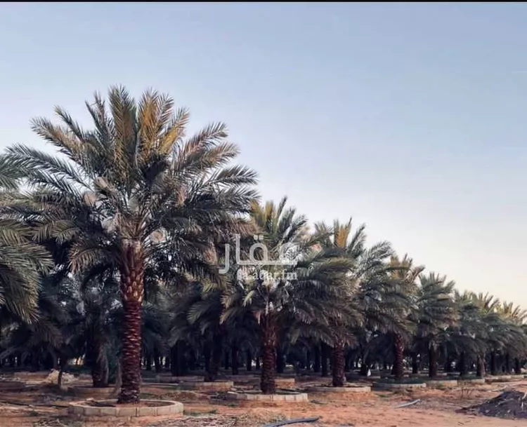 مزرعة للبيع في شارع العام, حي حماده الفروثى, مدينة حماده الفروثى, منطقة الرياض صورة 2