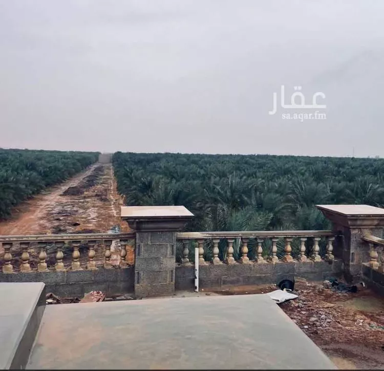 مزرعة للبيع في شارع العام, حي حماده الفروثى, مدينة حماده الفروثى, منطقة الرياض