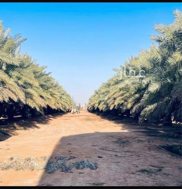 مزرعة للبيع في شارع العام, حي حماده الفروثى, مدينة حماده الفروثى, منطقة الرياض صورة 3