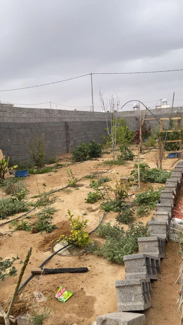 Land for Sale in Tabuk Alhudaibah صورة 2