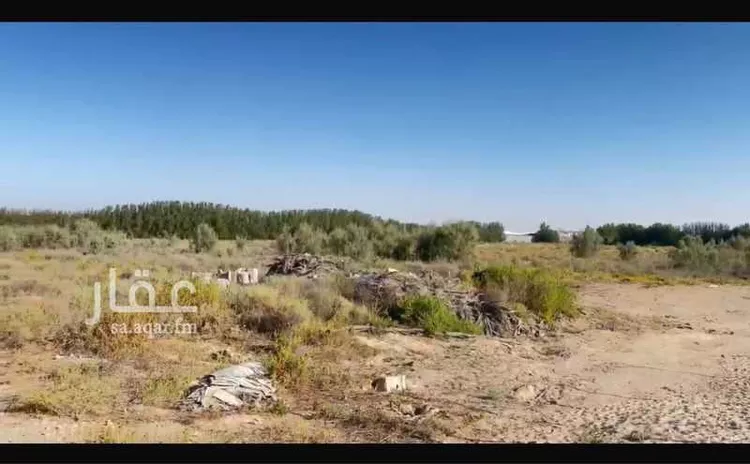Land for Sale in Safwa Abu Main صورة 2