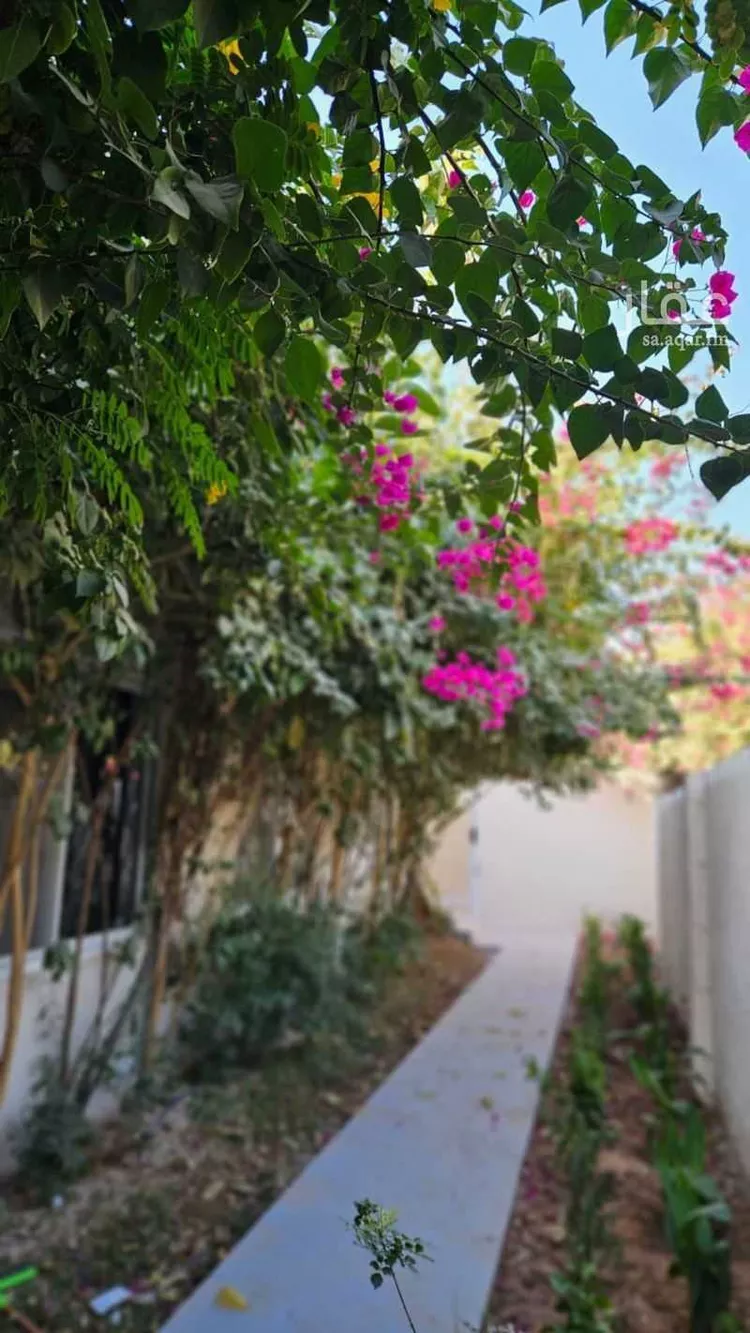 شقة للإيجار في شارع الشيخ محمد بن ابراهيم, حي ظهرة العودة شرق, مدينة الدرعية, منطقة الرياض صورة 2