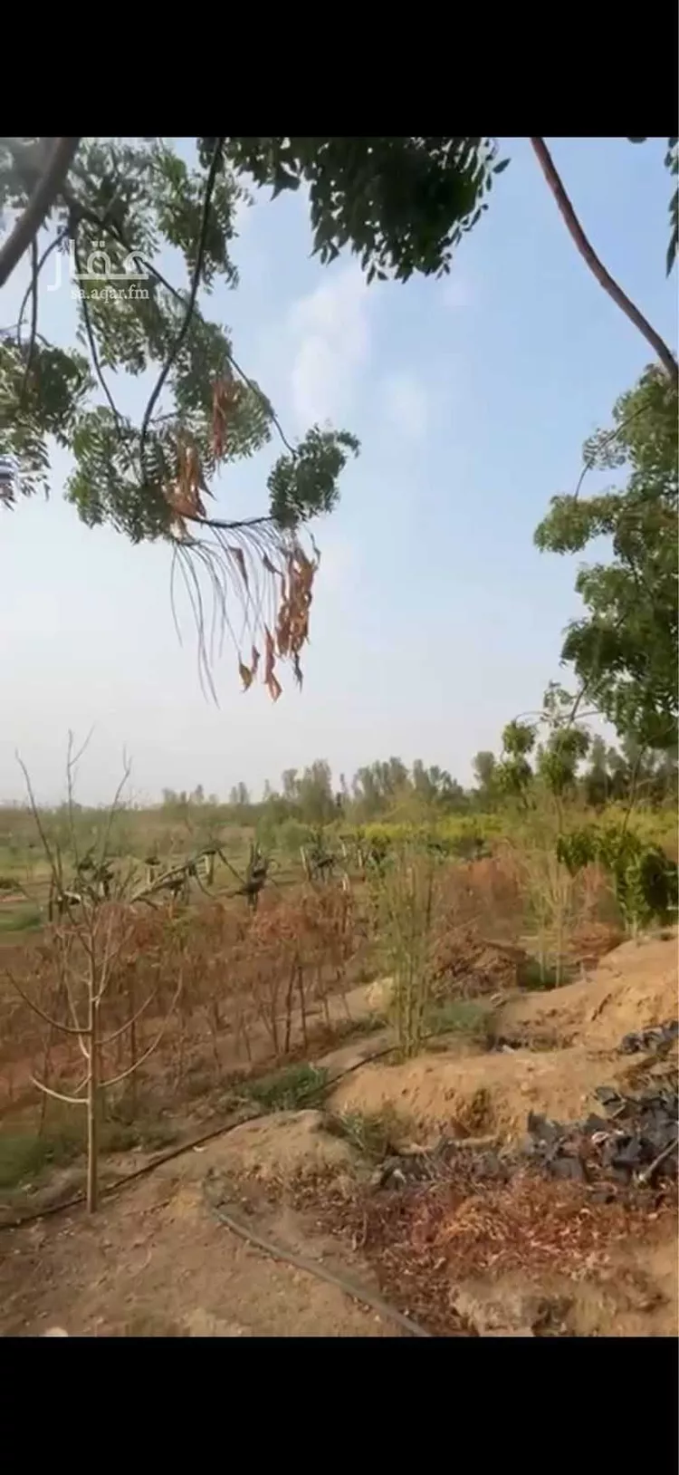 مزرعة للبيع في شارع 0000, حي الحزم 2, مدينة بيش, منطقة جازان