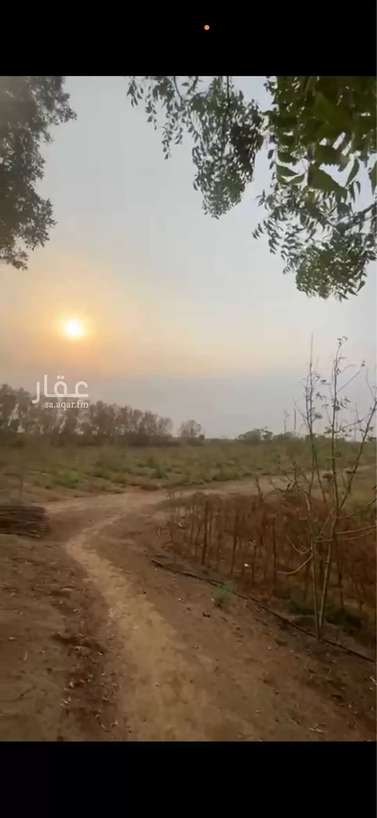 مزرعة للبيع في شارع 0000, حي الحزم 2, مدينة بيش, منطقة جازان صورة 3