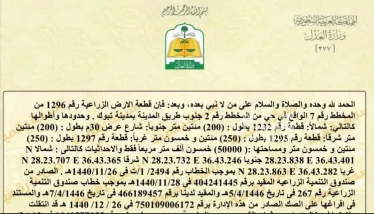 مزرعة للبيع في شارع, مدينة تبوك, منطقة تبوك