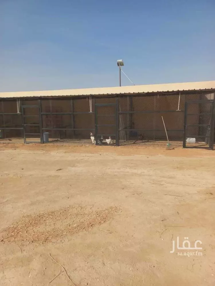 مزرعة للبيع في شارع هجرة الاوسط 934, حي تجمع سكاني الحنية, مدينة تجمع سكاني الحنية, منطقة الرياض صورة 4