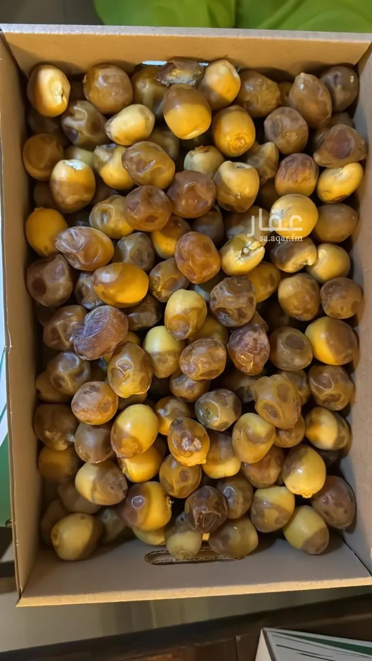 استراحة للبيع في شارع فيصل بن عبدالعزيز, حي الحزم, مدينة حريملاء, منطقة الرياض صورة 3