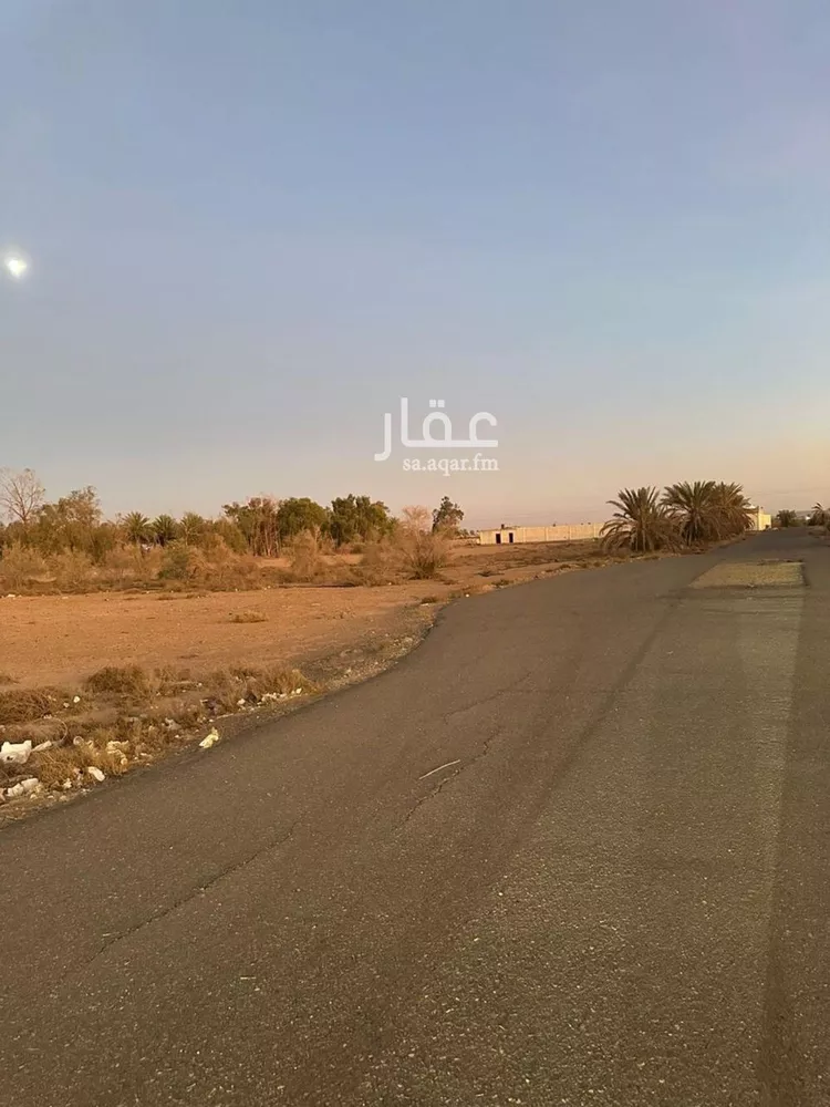مزرعة للبيع في شارع رقم الشارع 42, مدينة تبوك, منطقة تبوك صورة 5