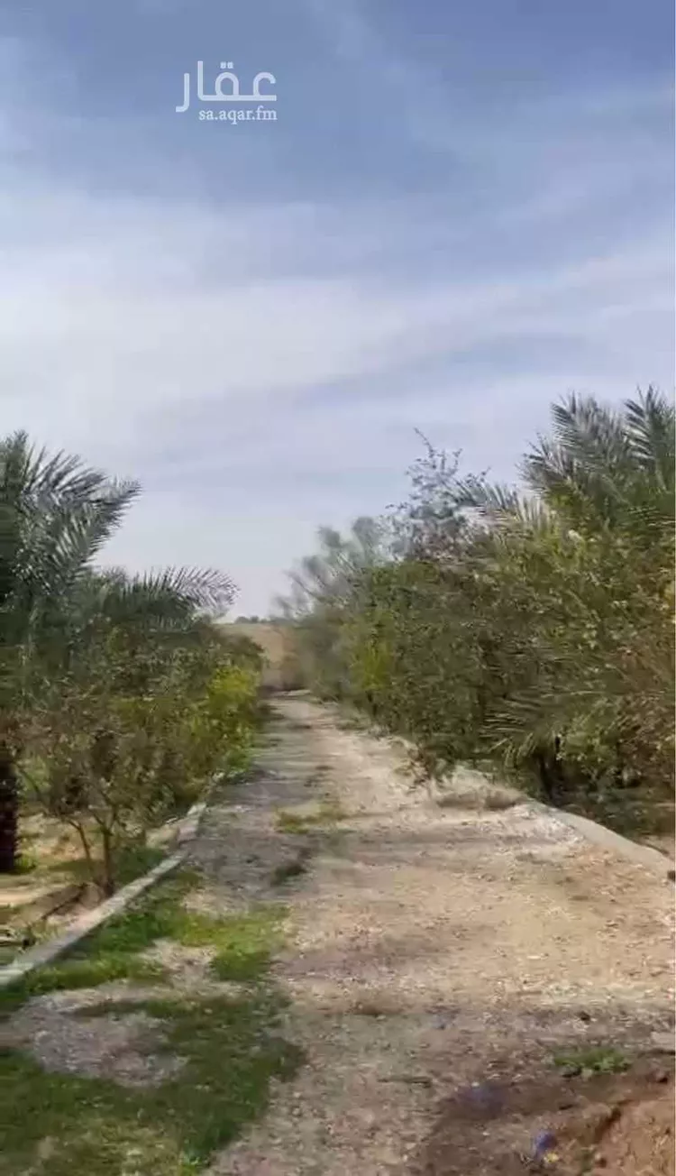 مزرعة للبيع في شارع عثمان بن عفان, مدينة عنيزه, منطقة القصيم صورة 3