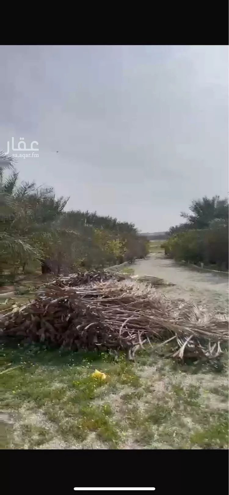 مزرعة للبيع في شارع عثمان بن عفان, مدينة عنيزه, منطقة القصيم صورة 2