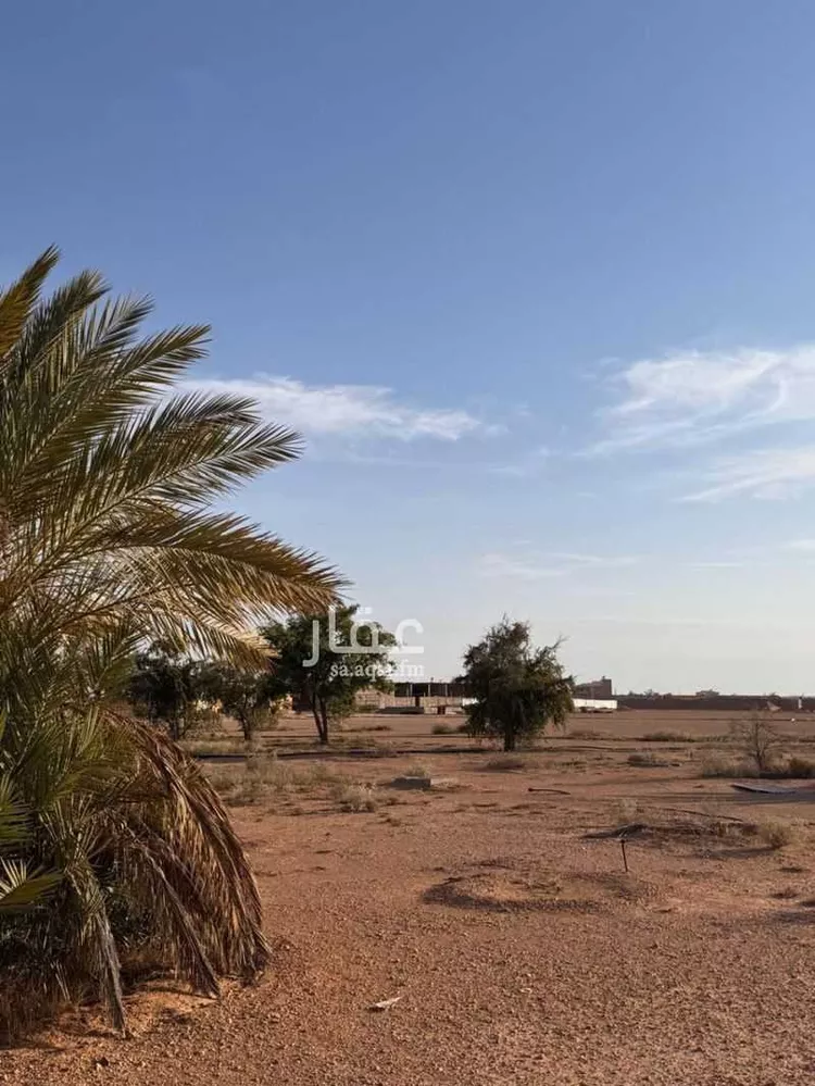 أرض للبيع في حي الياسمين, مدينة المجمعة, منطقة الرياض صورة 2