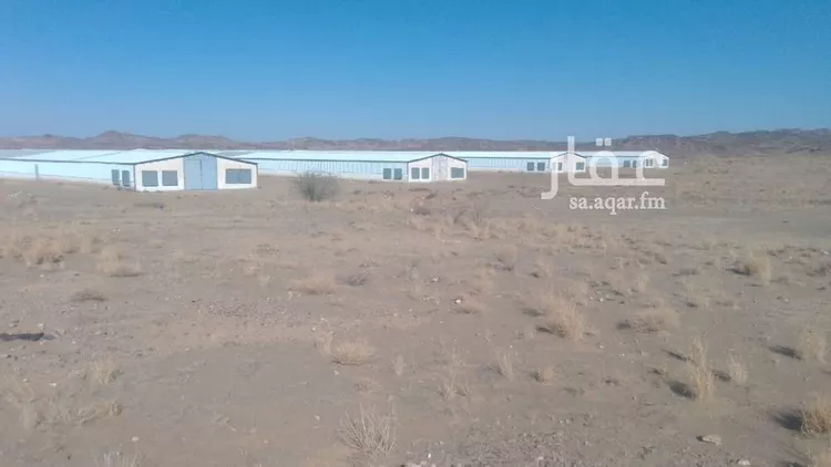 أرض للإيجار في شارع شارع وادي بن هشبل , مدينة اصلاب, منطقة عسير