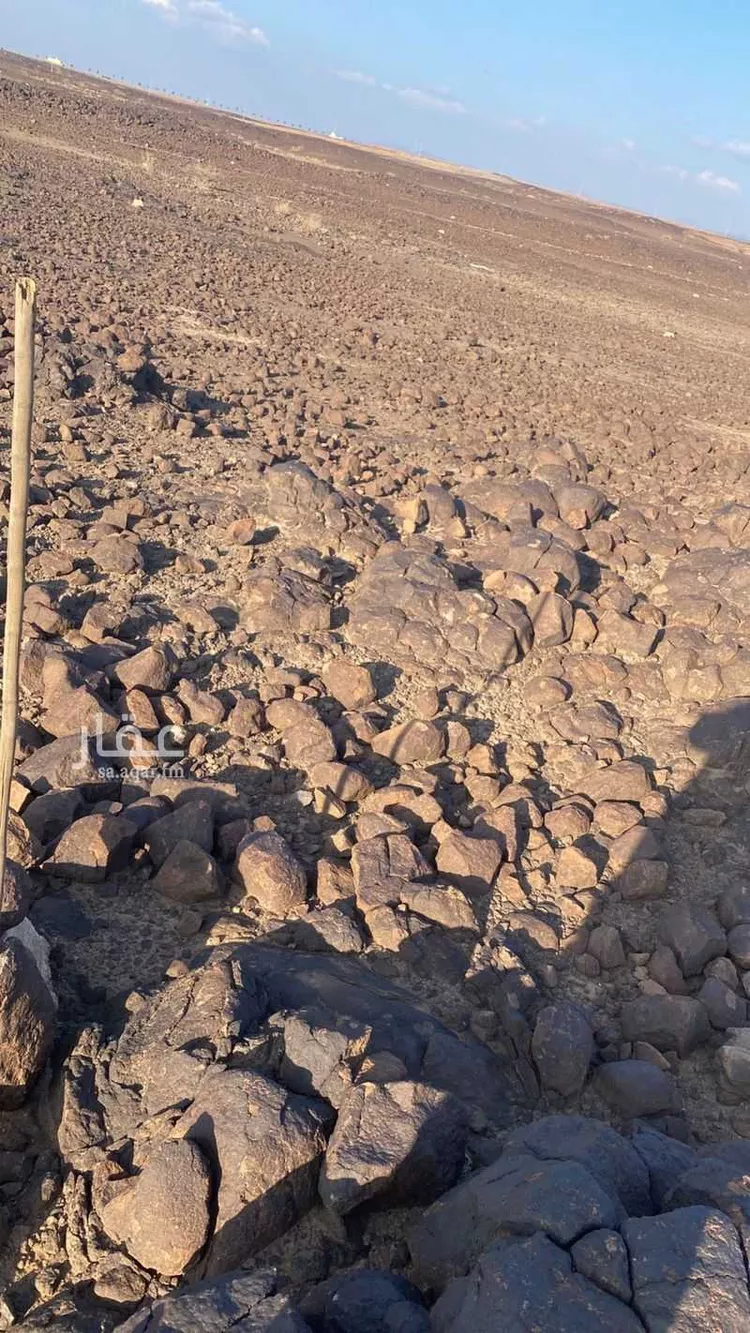 أرض للبيع في شارع غير مسمى, حي مخطط وادي  الفرع, مدينة وادي  الفرع, منطقة المدينة المنورة