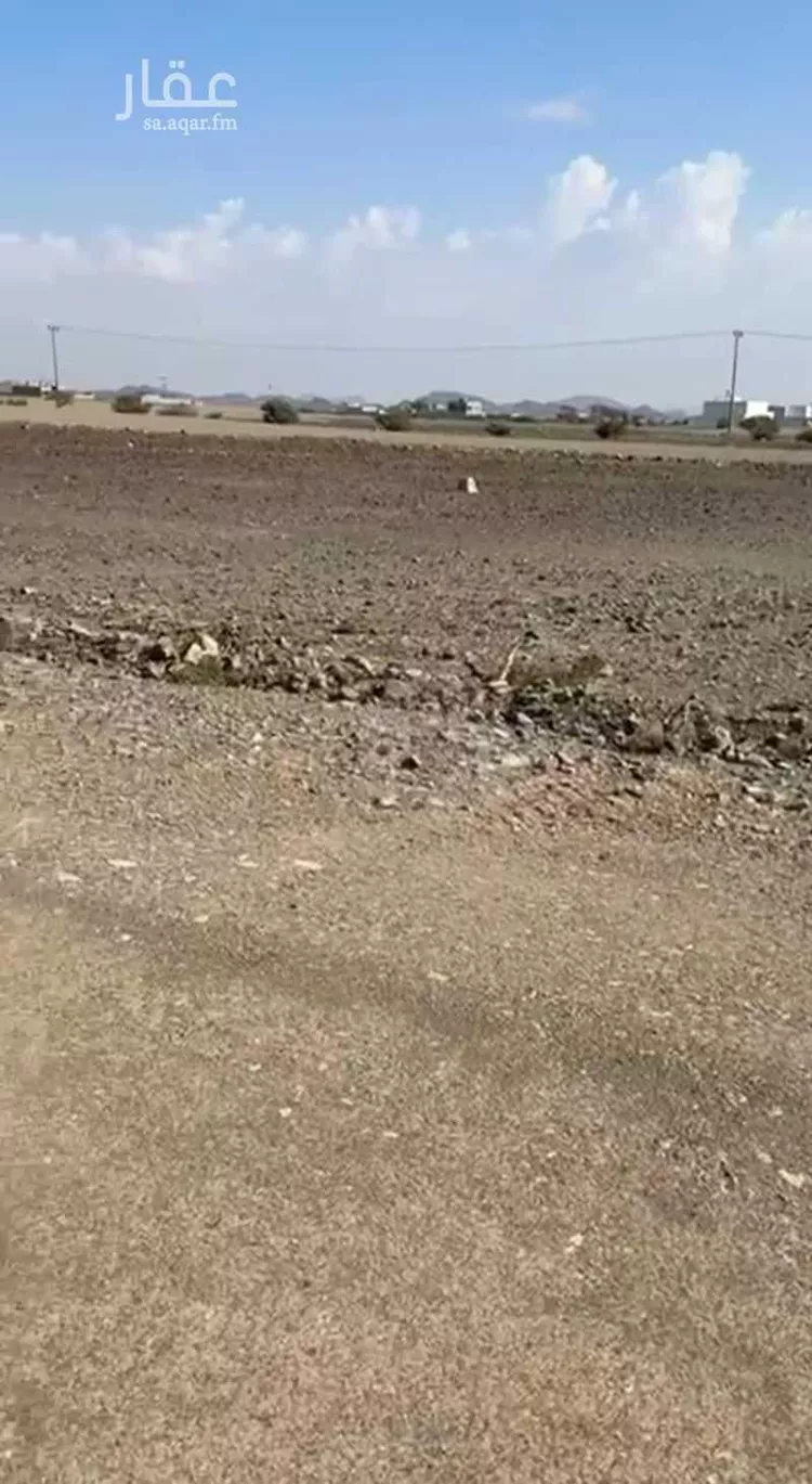 أرض للبيع في شارع سعيد بن خلف , حي ابيار الماشي, مدينة المدينه المنوره, منطقة المدينة المنورة صورة 5