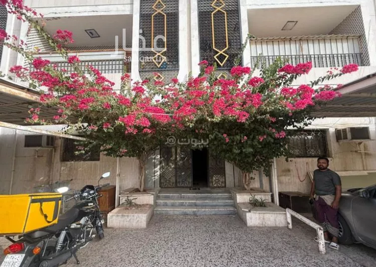 عمارة للبيع في شارع أبو الثناءالحراني, حي الربوة, مدينة جدة, منطقة مكة المكرمة صورة 4