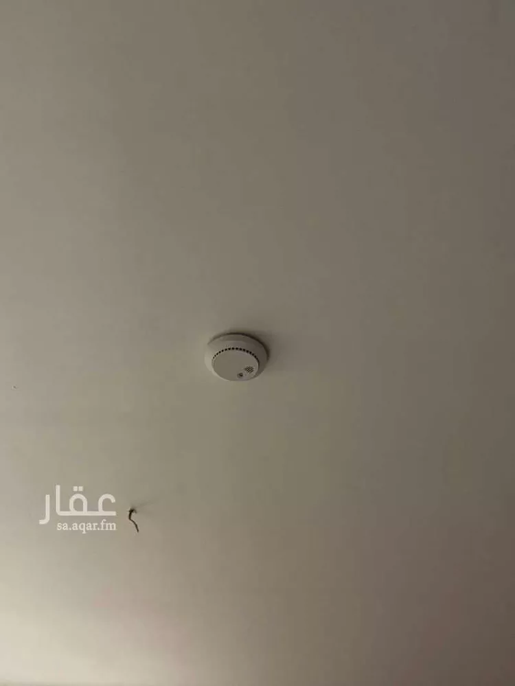 Building for Sale in Medina Al Khalidiyah صورة 3