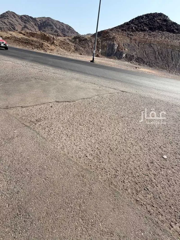 أرض للبيع في شارع عمر عقيل , حي النخيل, مدينة المدينة المنورة, منطقة المدينة المنورة 8