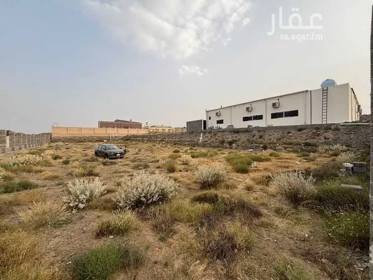 أرض للإيجار في شارع 7006311, حي الرمان, مدينة أبها, منطقة عسير صورة 2
