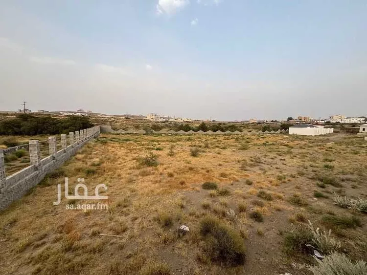 أرض للإيجار في شارع 22253938, حي الرمان, مدينة أبها, منطقة عسير صورة 5
