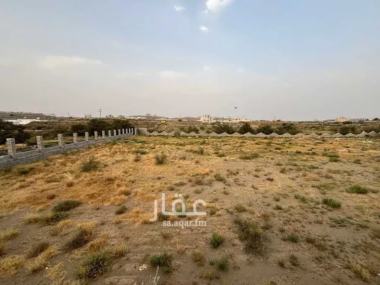 أرض للإيجار في شارع 22253938, حي الرمان, مدينة أبها, منطقة عسير صورة 3