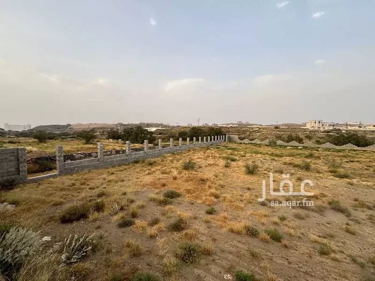 أرض للإيجار في شارع 22253938, حي الرمان, مدينة أبها, منطقة عسير