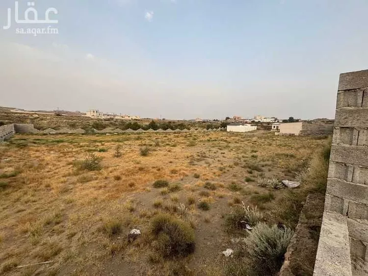 أرض للإيجار في شارع 22253938, حي الرمان, مدينة أبها, منطقة عسير صورة 4