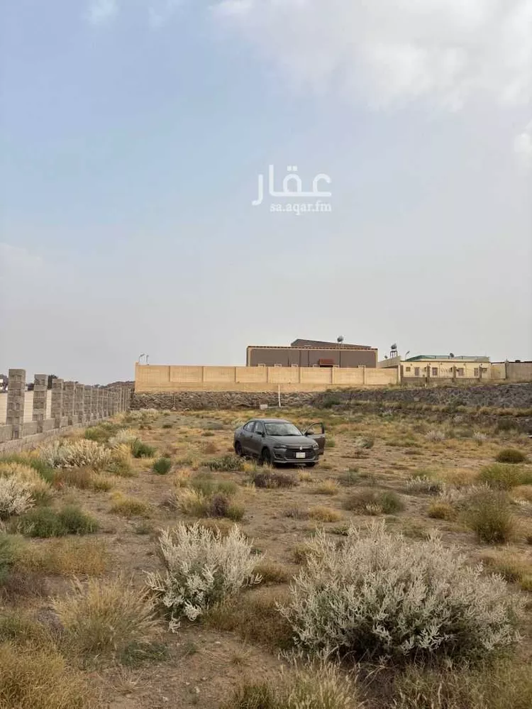 أرض للإيجار في شارع 7006311, حي الرمان, مدينة أبها, منطقة عسير صورة 5