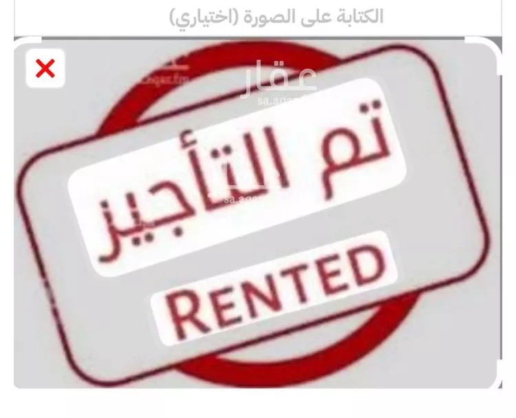 شقة للإيجار في شارع السادي, حي الروضة, مدينة جدة, منطقة مكة المكرمة