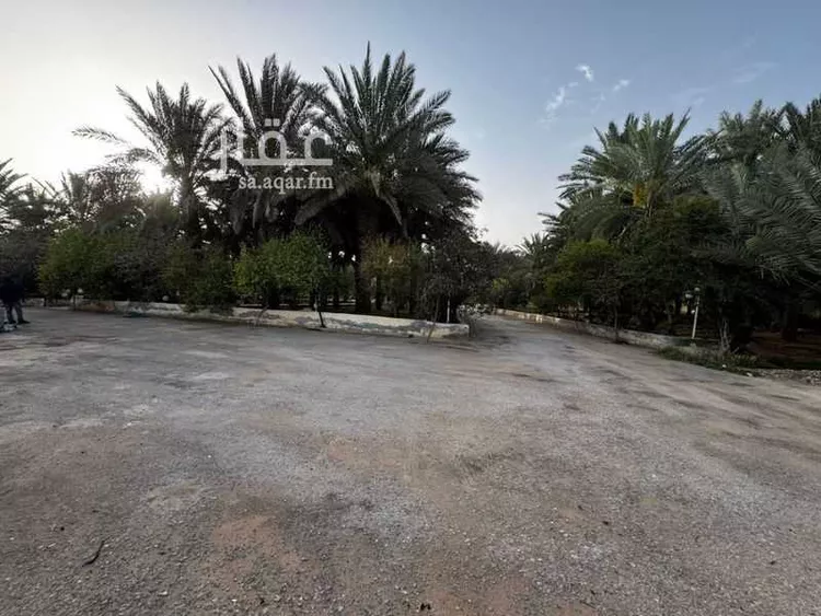 مزرعة للبيع في شارع الحسيني, حي القيروان, مدينة الرياض, منطقة الرياض صورة 3