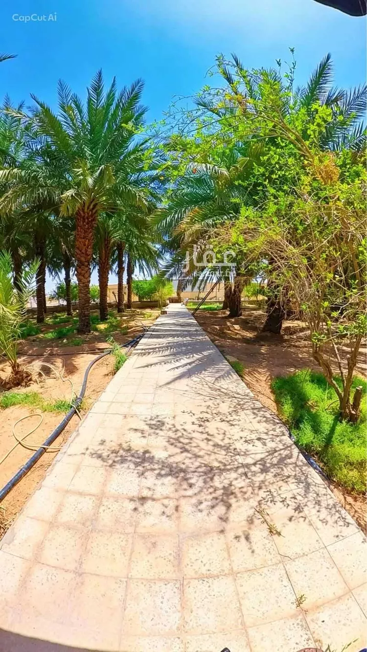 مزرعة للبيع في شارع الحسيني, حي القيروان, مدينة الرياض, منطقة الرياض صورة 2
