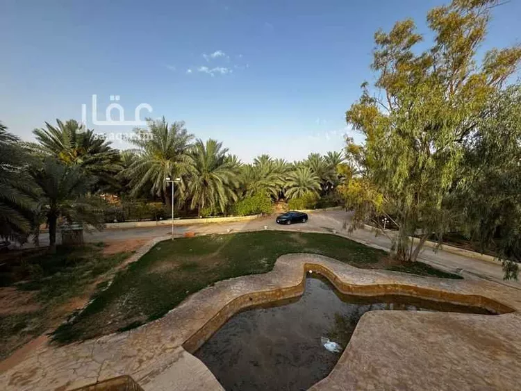 مزرعة للبيع في شارع الحسيني, حي القيروان, مدينة الرياض, منطقة الرياض صورة 4