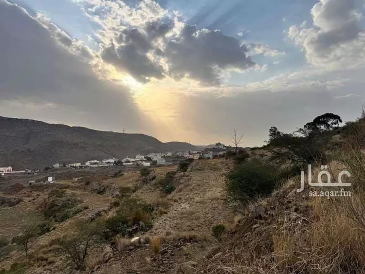 أرض للبيع في شارع شارع أبها , حي الخالدية, مدينة ابها, منطقة عسير صورة 2