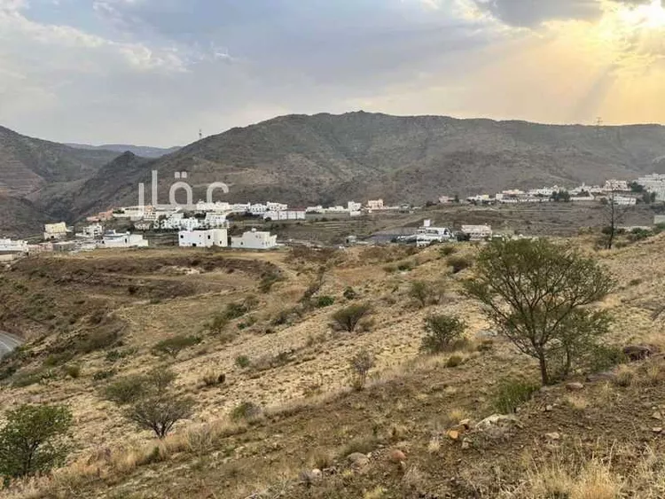 أرض للبيع في شارع شارع أبها , حي الخالدية, مدينة ابها, منطقة عسير صورة 5