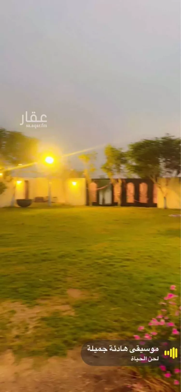شاليه واستراحة للحجز في شارع ريع وصيق وفقاسة نعمان 196 ، شداد ، منطقة مكة المكرمة 6