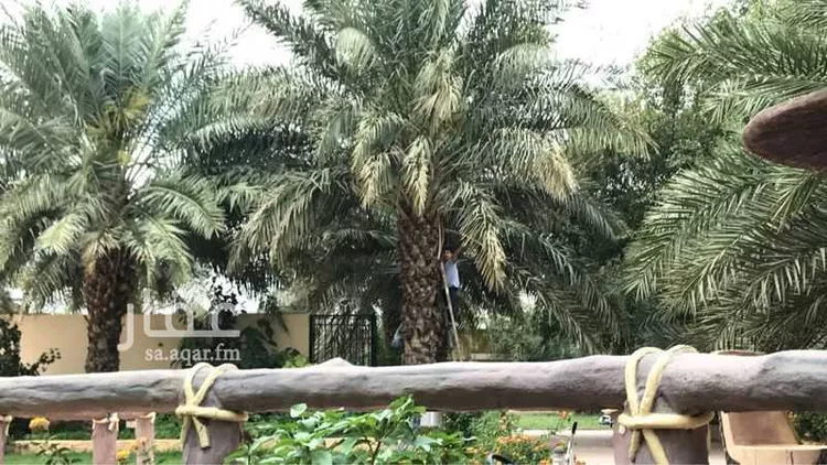 شاليه واستراحة للحجز في شارع ريع وصيق وفقاسة نعمان 196 ، شداد ، منطقة مكة المكرمة صورة 2
