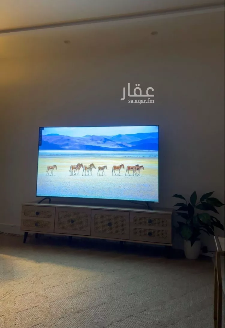 شقة للإيجار في شارع سعيد بن زياد, حي المروة, مدينة جدة, منطقة مكة المكرمة صورة 4