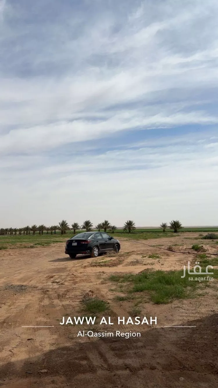 مزرعة للبيع في شارع الرمحيه, مدينة الرمحيه, منطقة القصيم صورة 3