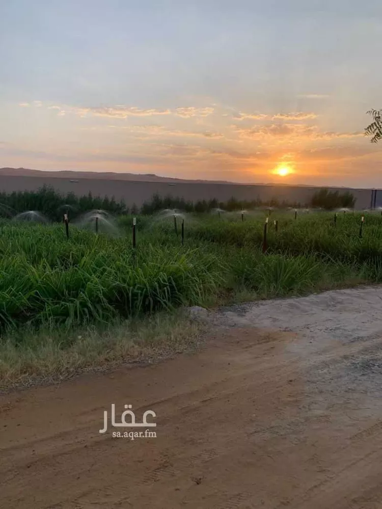 مزرعة للبيع في حي مركز السيباني (أ), مدينة السيباني, منطقة الرياض صورة 3