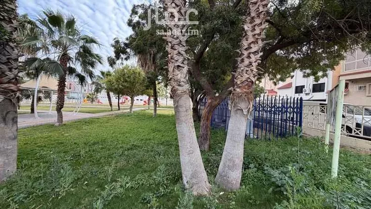 Apartment for Rent in Taif Masarrah صورة 3