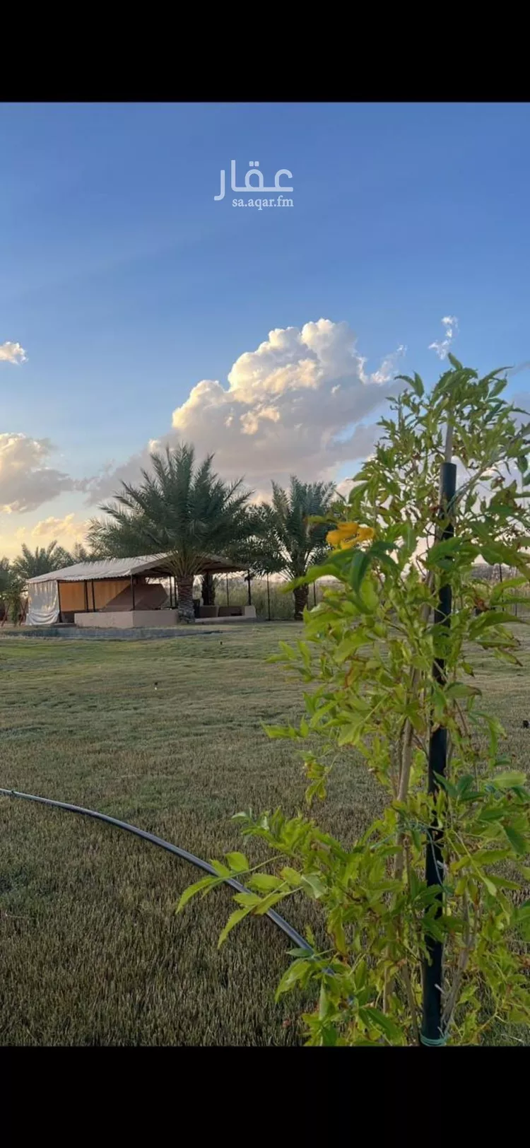 مزرعة للبيع في شارع سكاكا 517, مدينة سكاكا, منطقة الجوف صورة 3