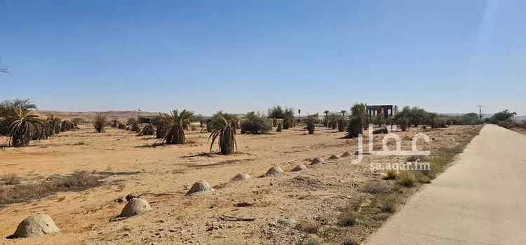 أرض للبيع في شارع 5568293, حي مزارع وادى العماريه, مدينة مزارع وادى العماريه, منطقة الرياض صورة 3
