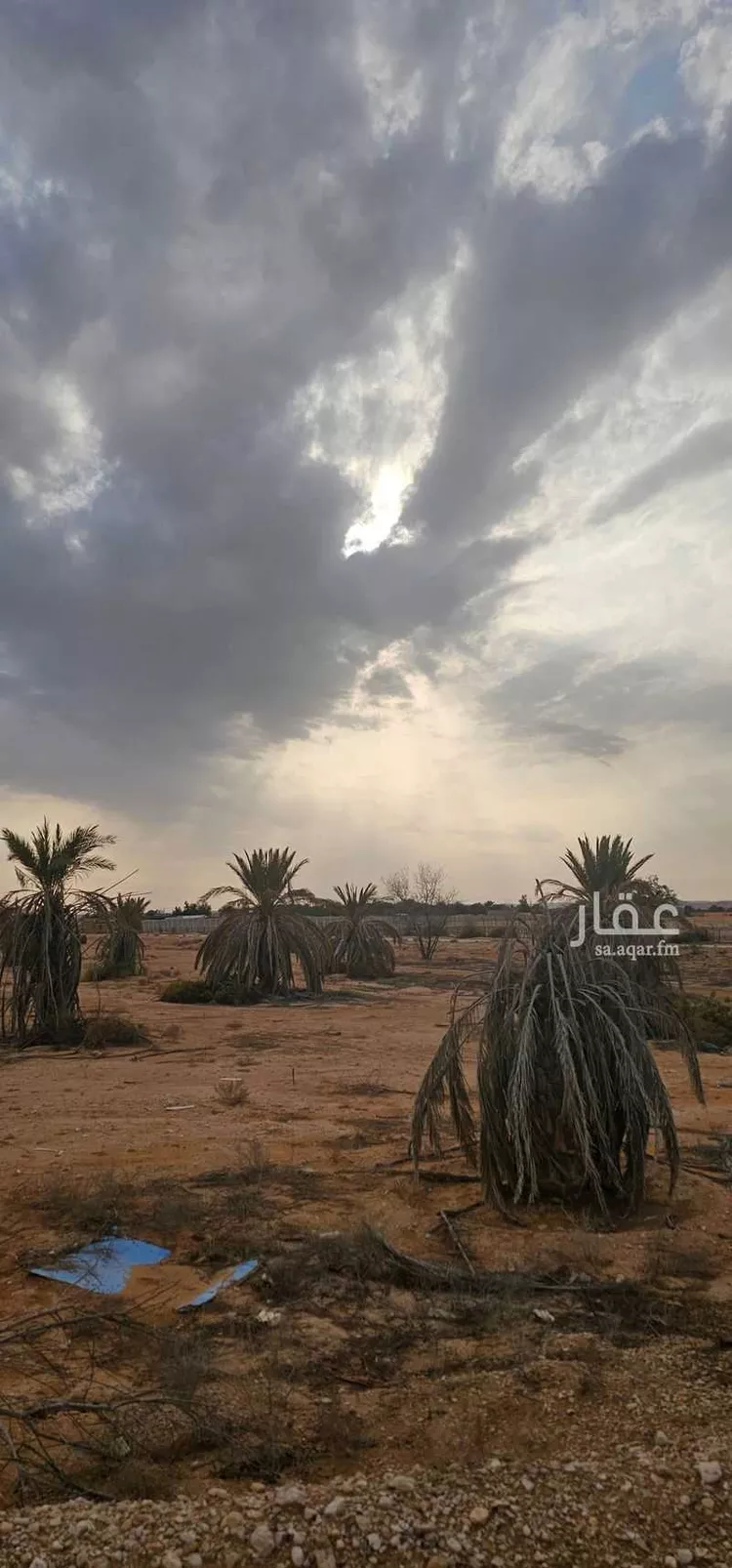 أرض للبيع في شارع 5568293, حي مزارع وادى العماريه, مدينة مزارع وادى العماريه, منطقة الرياض