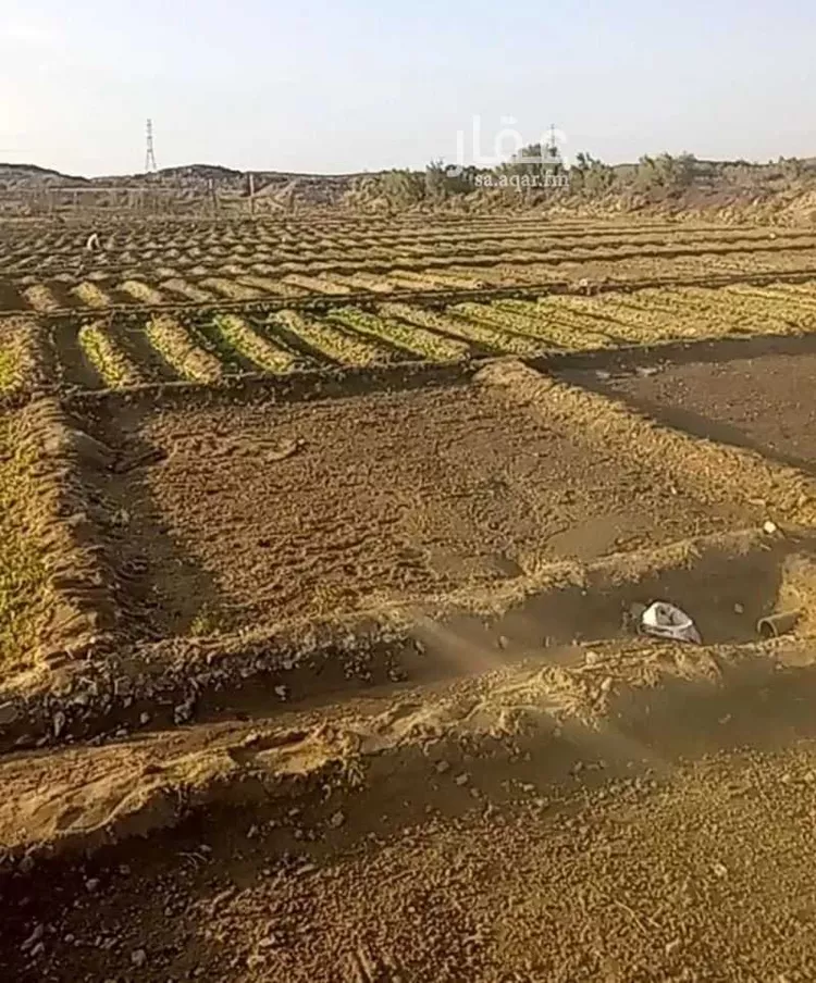 مزرعة للبيع في الطائف ، الطائف