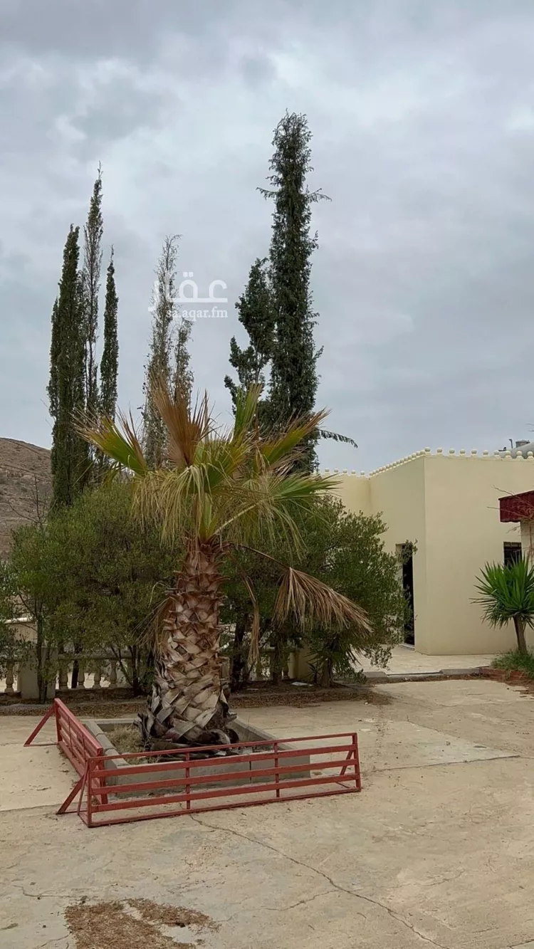 استراحة للبيع في شارع المظيهير, حي المنتزة, مدينة أبها, منطقة عسير صورة 2
